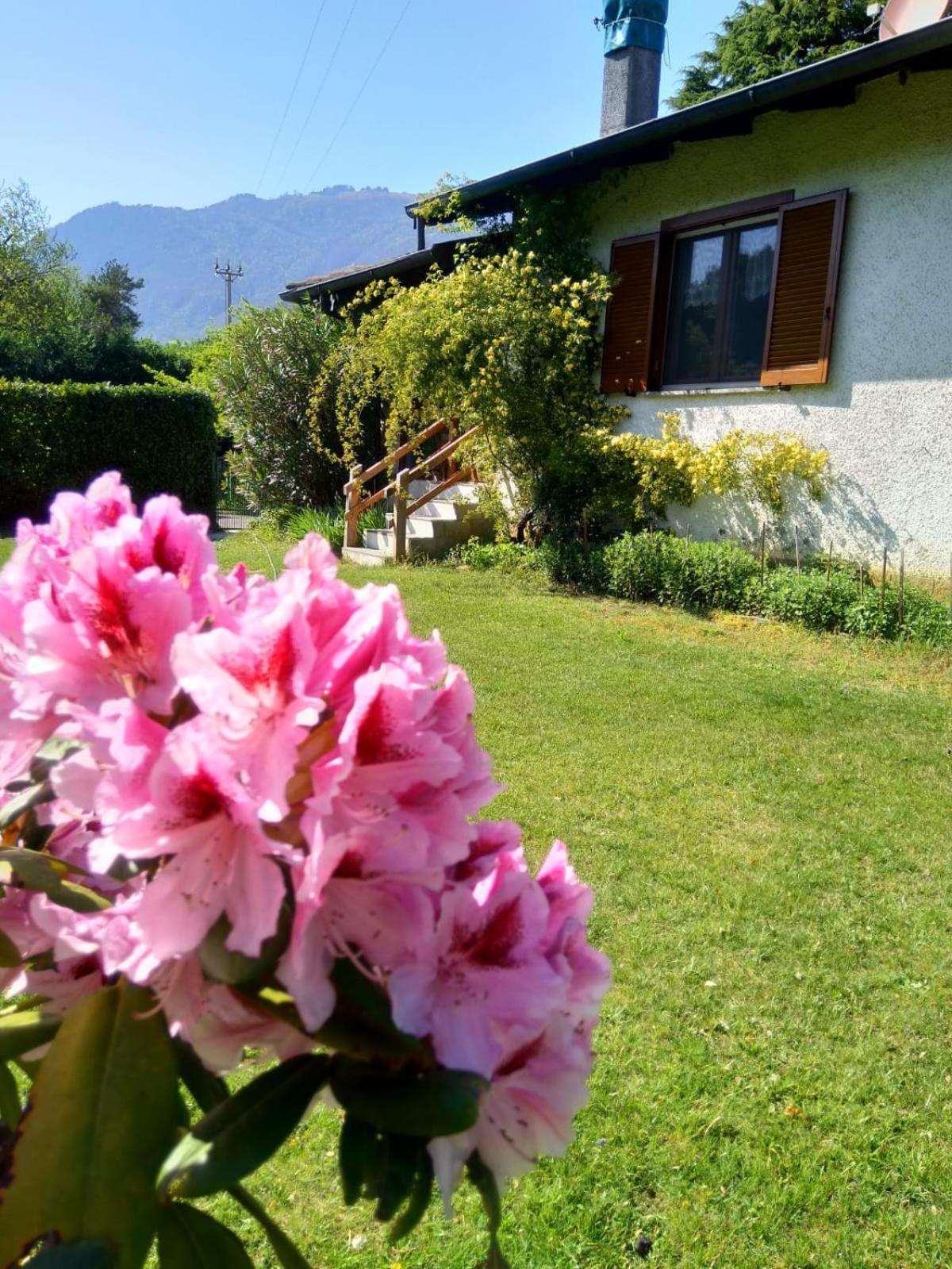 Villa Anna سوريكو المظهر الخارجي الصورة