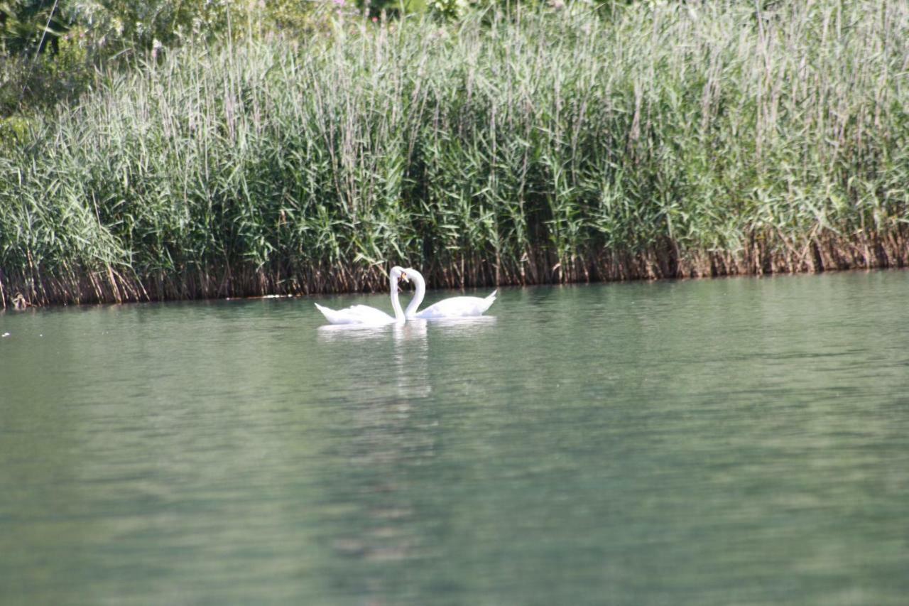 Villa Anna سوريكو المظهر الخارجي الصورة